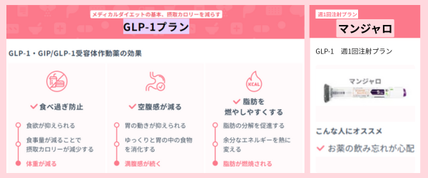 マンジャロの説明画像