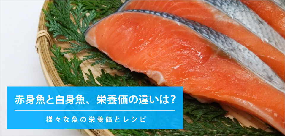 赤身魚と白身魚の栄養価の違いは？〜様々な魚の栄養価とレシピ〜
