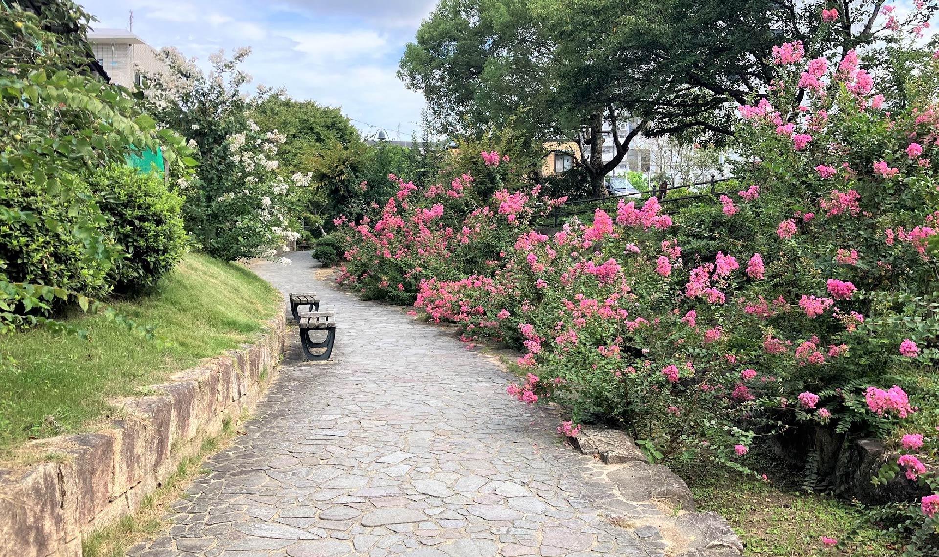 安川緑道（安佐南区）