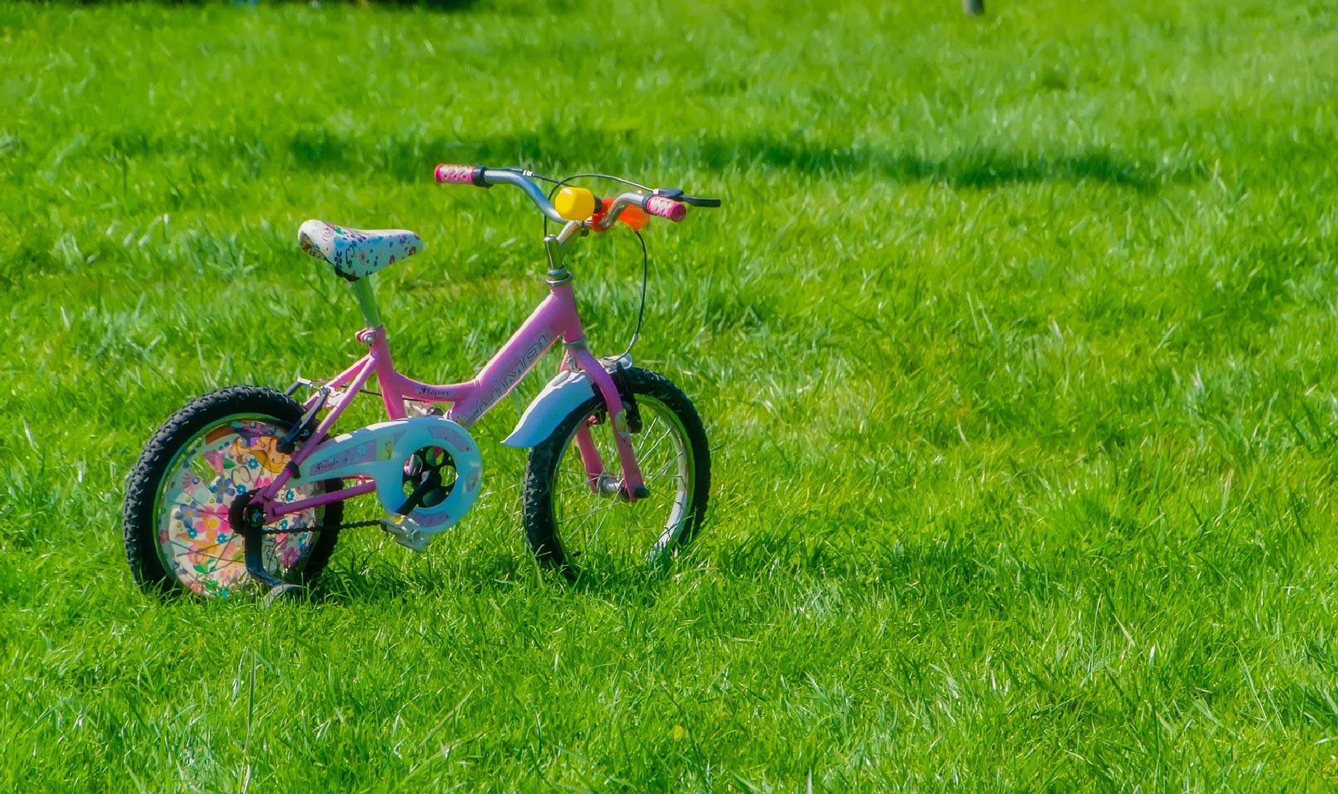 【広島市】子どもの自転車練習にオススメのスポット4選