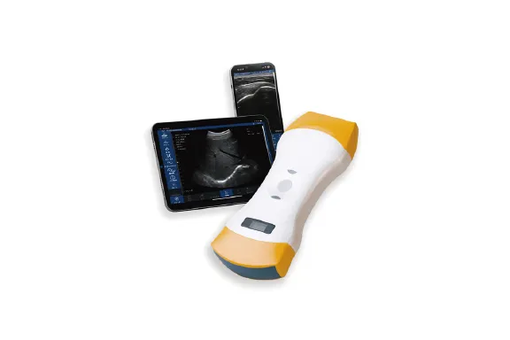 ポケットエコー